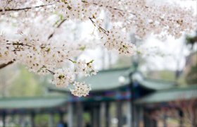 关于推荐吉林省学位委员会第五届学科评